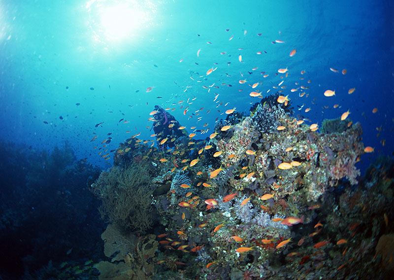 潛水有無(wú)身體條件和年齡限制？