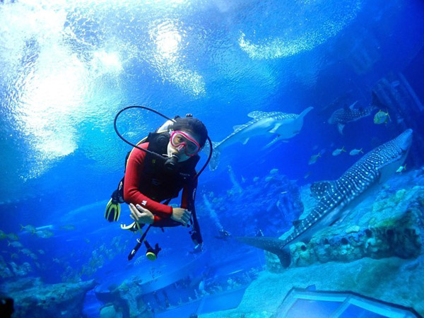 潛在水里，學(xué)做一條靜靜的魚(yú)