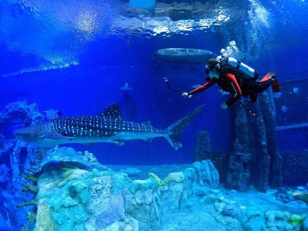 潛在水里，學(xué)做一條靜靜的魚(yú)