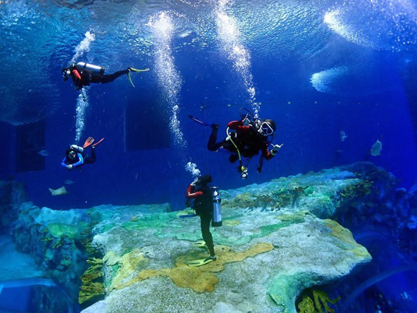 潛在水里，學(xué)做一條靜靜的魚(yú)