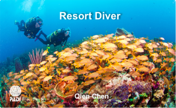 12/12正式上線(xiàn)！PADI 最新課程【休閑潛水員Resort Diver】 丨 一天拿證，潛遍全球