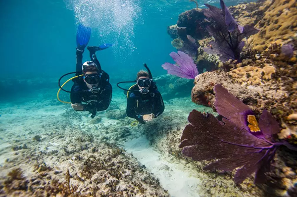 【水肺潛水安全嗎？】轉自PADI