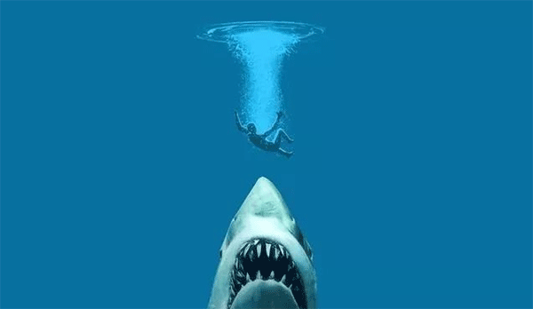 不會(huì )游泳能不能考下OW潛水證