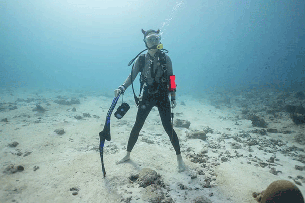 FX的船宿之旅---馬爾代夫（四方線(xiàn)）