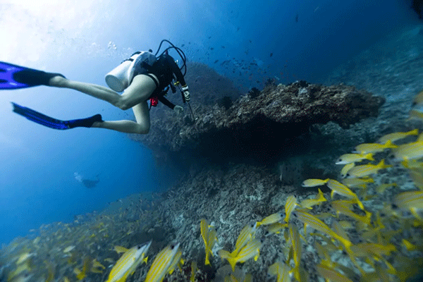 FX的船宿之旅---馬爾代夫（四方線(xiàn)）