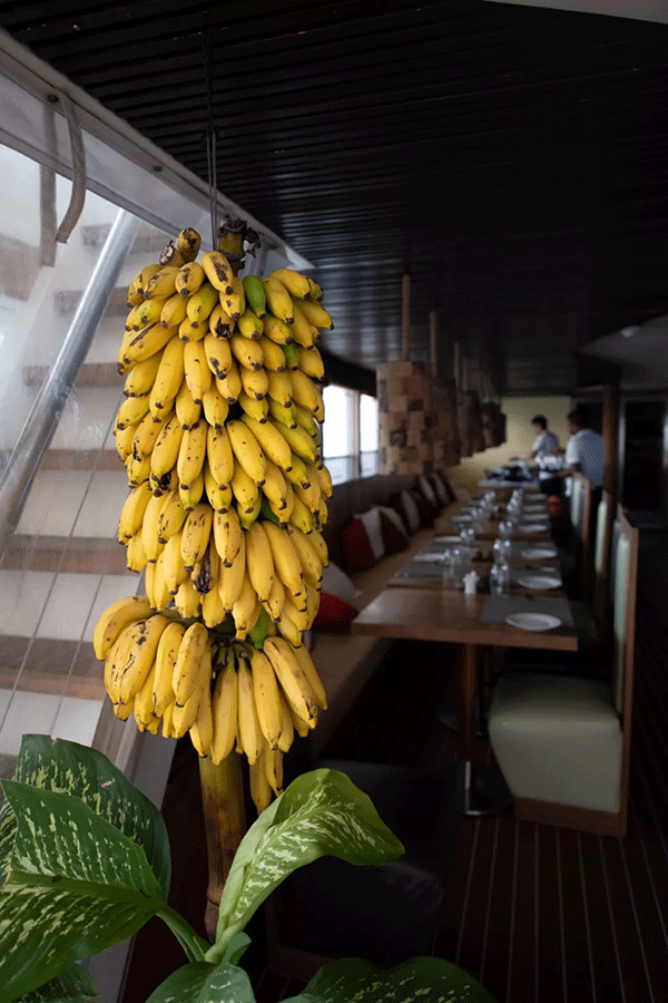 FX的船宿之旅---馬爾代夫（四方線(xiàn)）