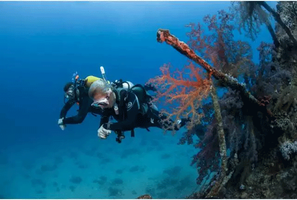 成為潛水員之前的你，是不是也問(wèn)過(guò)這些問(wèn)題？