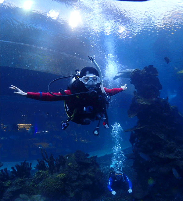 潛水常見(jiàn)問(wèn)題，原來(lái)潛水沒(méi)你想的那么難