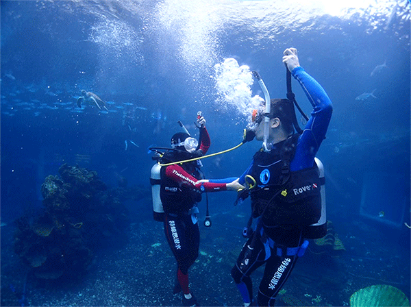 潛水常見(jiàn)問(wèn)題，原來(lái)潛水沒(méi)你想的那么難