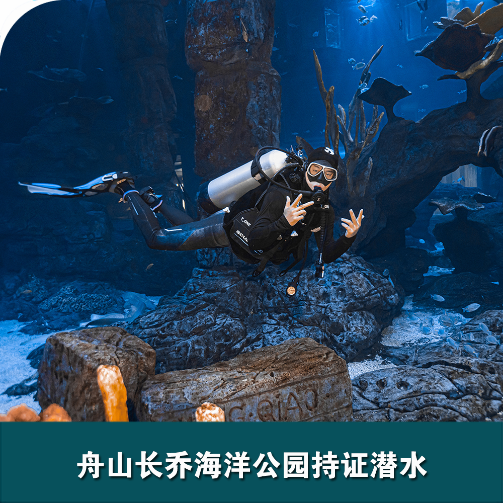 舟山長(cháng)喬海洋公園持證潛水