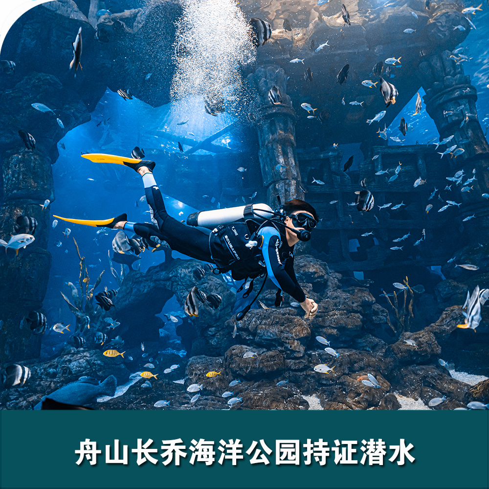 舟山長(cháng)喬海洋公園持證潛水