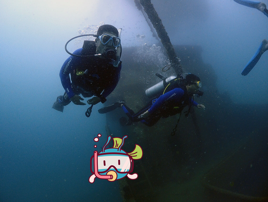 除了俯瞰大地的飛翔，還有潛入海底的翱翔。