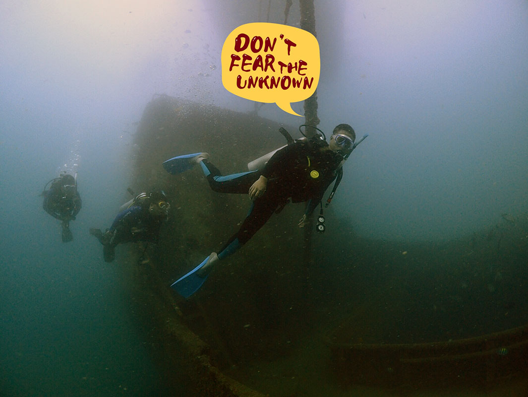 除了俯瞰大地的飛翔，還有潛入海底的翱翔。