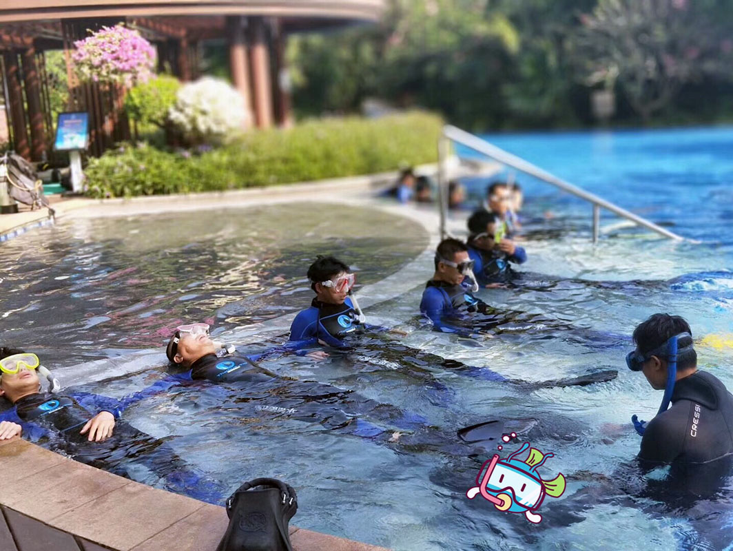 除了俯瞰大地的飛翔，還有潛入海底的翱翔。